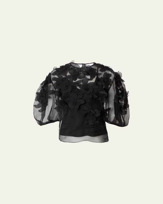 Floral Embroidered Puff-Sleeve Sheer Top